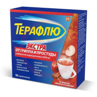Терафлю от гриппа и простуды экстра порошок для приготовления раствора для приема внутрь 15,021г №10 яблоко + корица